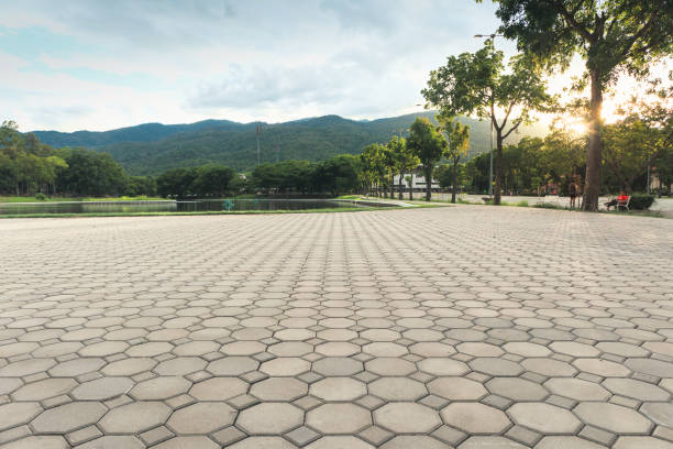 Best Custom Driveway Pavers  in Prescott, AR